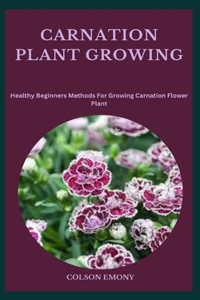 Carnation Plant Growing