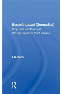 Bemisia Tabaci (gennadius)