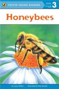 PYR LV 3 : Honeybees