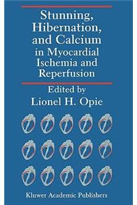 Stunning, Hibernation, and Calcium in Myocardial Ischemia and Reperfusion