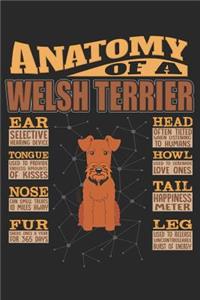 Anatomy Of A Welsh Terrier