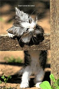 Chat Carnet de notes