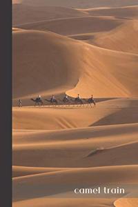 camel train