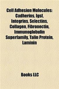 Cell Adhesion Molecules