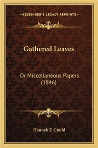 Gathered Leaves