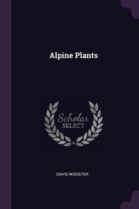 Alpine Plants