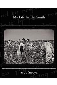 My Life In The South