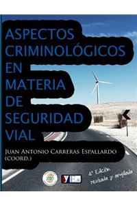 Aspectos criminológicos en materia de seguridad vial