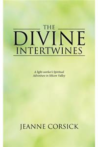 Divine Intertwines: A light-worker's Spiritual Adventure in Silicon Valley