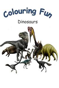 Colouring Fun