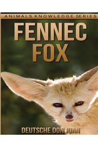 Fennec Fox