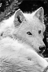 MindBlowing Wolf Journal 10