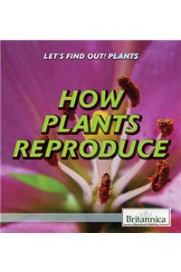 How Plants Reproduce