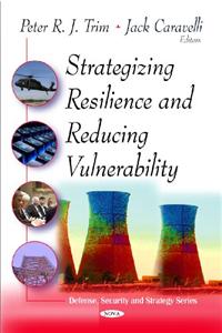 Strategizing Resilence & Reducing Vulnerability