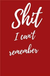 Shit I Can't Remember
