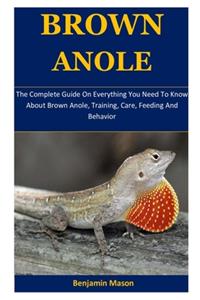 Brown Anole