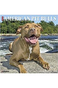 Just American Pit Bulls 2018 Calendar