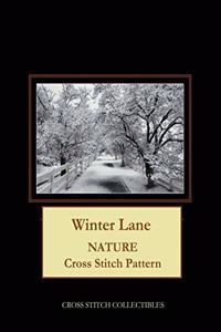 Winter Lane