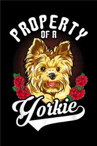 Property of a Yorkie