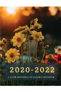 2020-2022 3 Year Monthly Planner Calendar