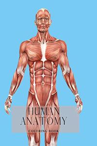 Human Anatomy Coloring Book