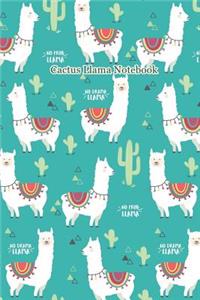 Cactus Llama Notebook