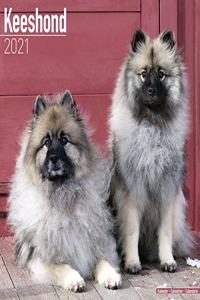 Keeshond 2021 Wall Calendar
