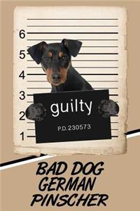 Bad Dog German Pinscher