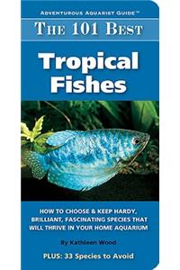 The 101 Best Tropical Fishes