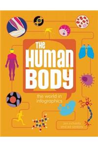 The Human Body