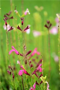Pink & Purple Wildflowers - Blank Notebook