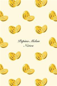 Pepino Melon Notes