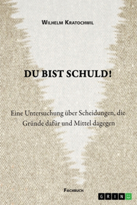 Du bist schuld! Eine Untersuchung über Scheidungen, die Gründe dafür und Mittel dagegen