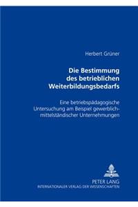 Die Bestimmung Des Betrieblichen Weiterbildungsbedarfs