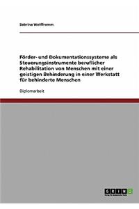 Förder- und Dokumentationssysteme als Steuerungsinstrumente beruflicher Rehabilitation von Menschen mit einer geistigen Behinderung in einer Werkstatt für behinderte Menschen