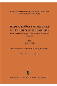 Felder, Ströme Und Aerosole in Der Unteren Troposphäre