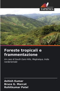 Foreste tropicali e frammentazione