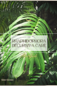 Rhaphidophora Decursiva Care