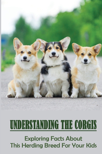 Understanding The Corgis