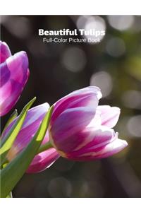 Beautiful Tulips Full-Color Picture Book