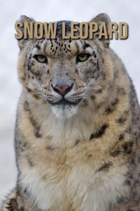 Snow Leopard: Beautiful Pictures & Interesting Facts Children Book About Snow Leopard