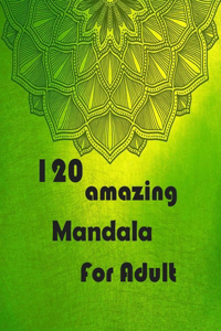 120 amazing mandala for adults