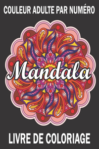 Couleur Adulte Par Numéro Mandala Livre De Coloriage