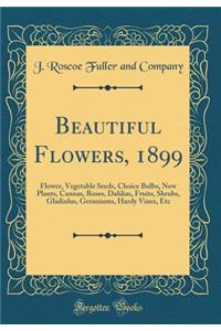 Beautiful Flowers, 1899: Flower, Vegetable Seeds, Choice Bulbs, New Plants, Cannas, Roses, Dahlias, Fruits, Shrubs, Gladiolus, Geraniums, Hardy Vines, Etc (Classic Reprint)