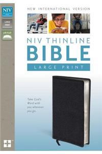 NIV Thinline Bible