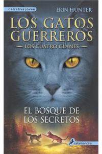 El Bosque de Los Secretos (Forest of Secrets)