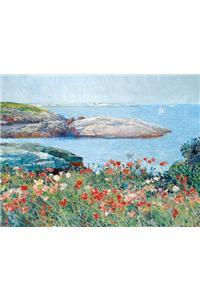 Hassam Poppies Portfolio Notes