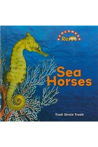 Sea Horses