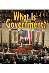 What Is Government?