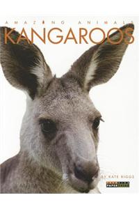 Kangaroos